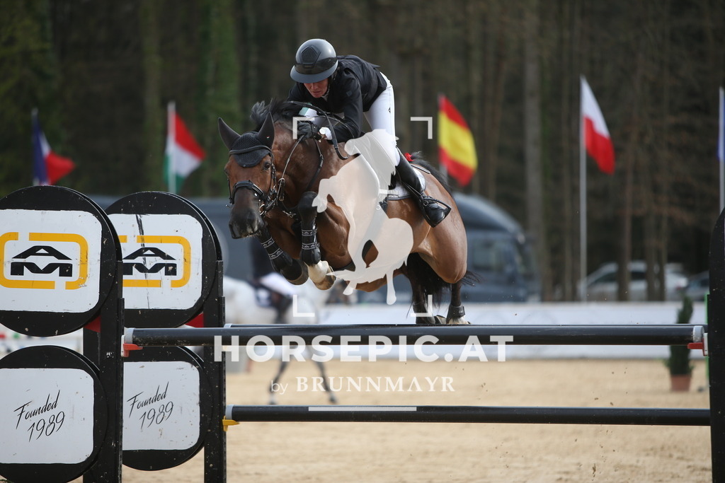 PP018540 | Willkommen bei Brunnmayr - Design & Fotografie – Ihrem Spezialisten für Reitturniere und Pferdeveranstaltungen in Oberösterreich, Salzburg und Bayern! Seit über 17 Jahren sind wir leidenschaftlich dabei.