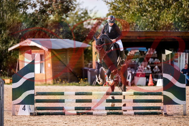 2026_10_03_Siefer-Hof_154324_Z81_61360202 | Professionelle Reitsport-, Turnier- und Eventfotografie von Robert Broda. Galerien mit ausgewählten und bearbeiteten Bildern direkt online ansehen und bestellen.