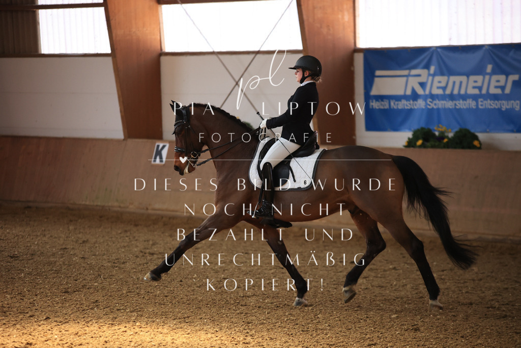 IMGT2925 | pl-fotografie