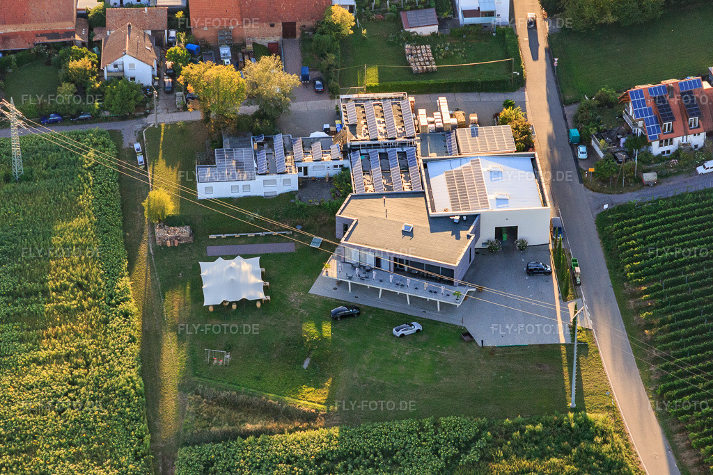 Luftbild: Vinothek Weingut Familie Sauer im Ortsteil Nußdorf in Landau im Bundesland Rheinland-Pfalz in Deutschland. Foto: IMG_149516.jpg vom 31.08.2025 durch Werner Riehm/FLY-FOTO.deWeingut Sauer: Ihr Winzer in Landau-Nußdorf