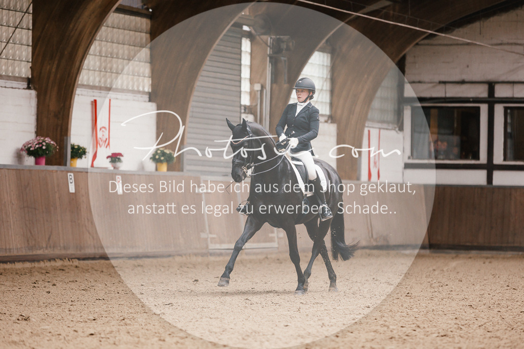 3I6A8552 | Stimmungsvolle Portraits und Reitsportfotografie im Ruhrgebiet und im Münsterland.

Pferdefotografie, Hundefotografie, Tierfotografie, Reportagen, Portraits von Tier und Mensch, Turnierfotografie in Bochum, Recklinghausen, Marl, Haltern am See, Dülmen.. - Realisiert mit Pictrs.com