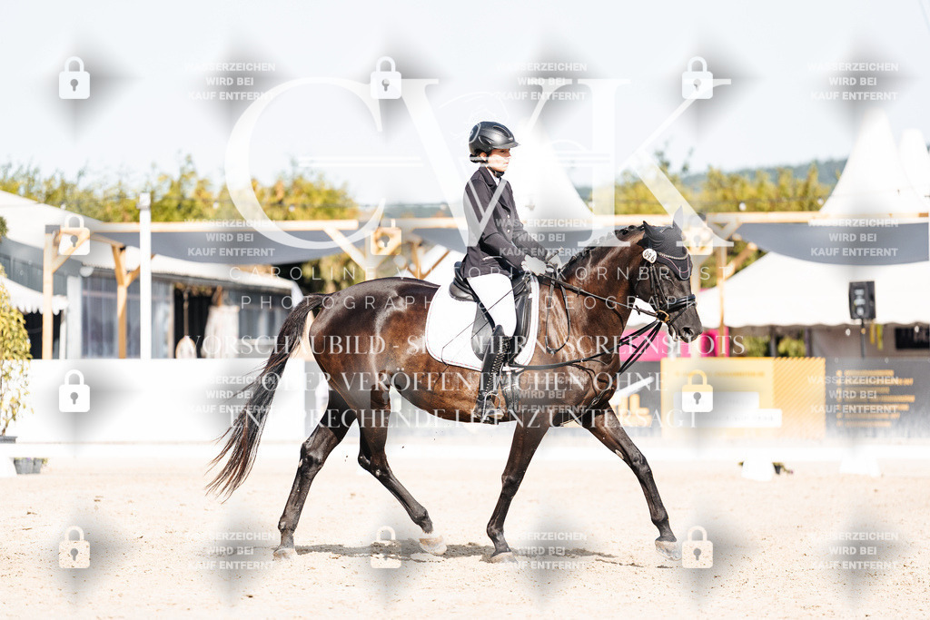 CK905600 | Turnierfotografie Pferdefotografie Trier Rheinland-Pfalz Pferdesport Reitsport Tierfotografie Sportfotografie Pferdevideo Pferdevideografie Equestrianvideography equestrianphotography  - Realisiert mit Pictrs.com