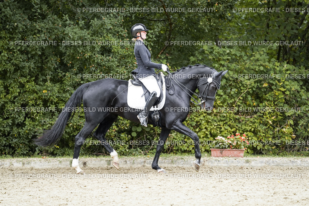 DSC02277 | Pferdegrafie