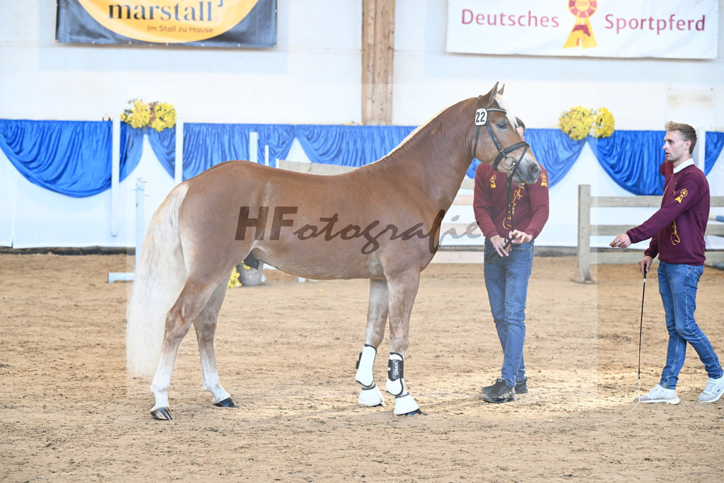 Kat-Nr. 22 Niolando v. Nio_Kirchberger_48250431 | hf-fotografie - Realisiert mit Pictrs.com