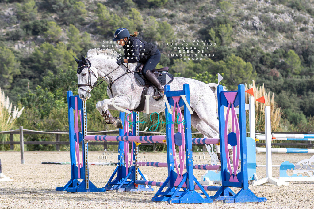 IMG_3773 | s-jay-photography - Realisiert mit Pictrs.com