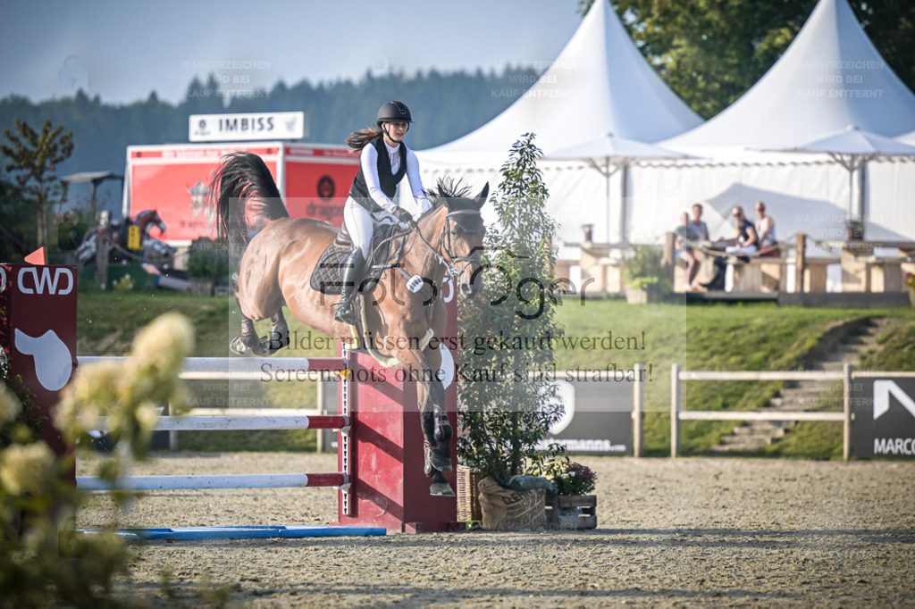 DOS_1160 | Entdecke hochwertige Reitturnierfotos von Foto Oger. Professionell, emotional und authentisch – jetzt Lieblingsmomente im Shop bestellen. - Realisiert mit Pictrs.com