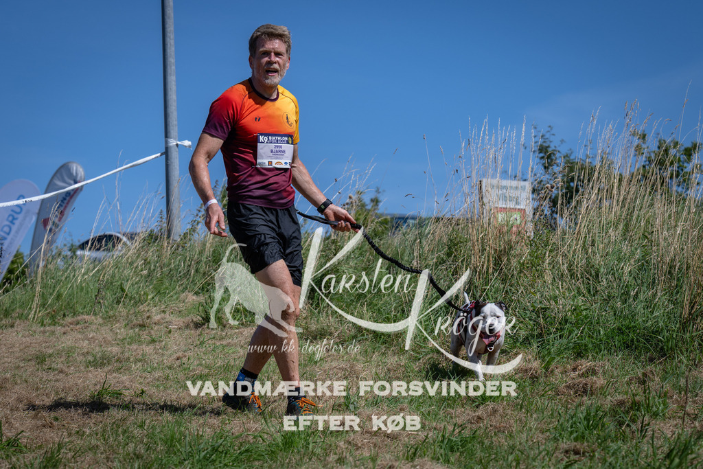 1254_ZZ97253 | kk-dogfotos