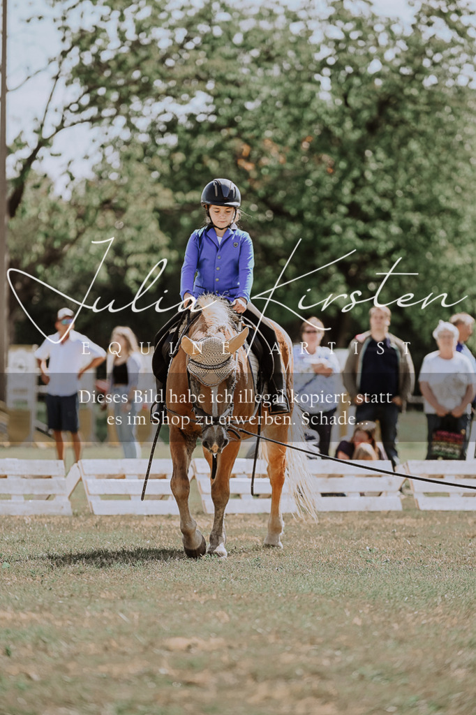 DSC_7525 | Pferde- und Turnierfotografie in Westsachsen. Pferdeportraits, Auftragszeichnungen und intuitive Kunst.