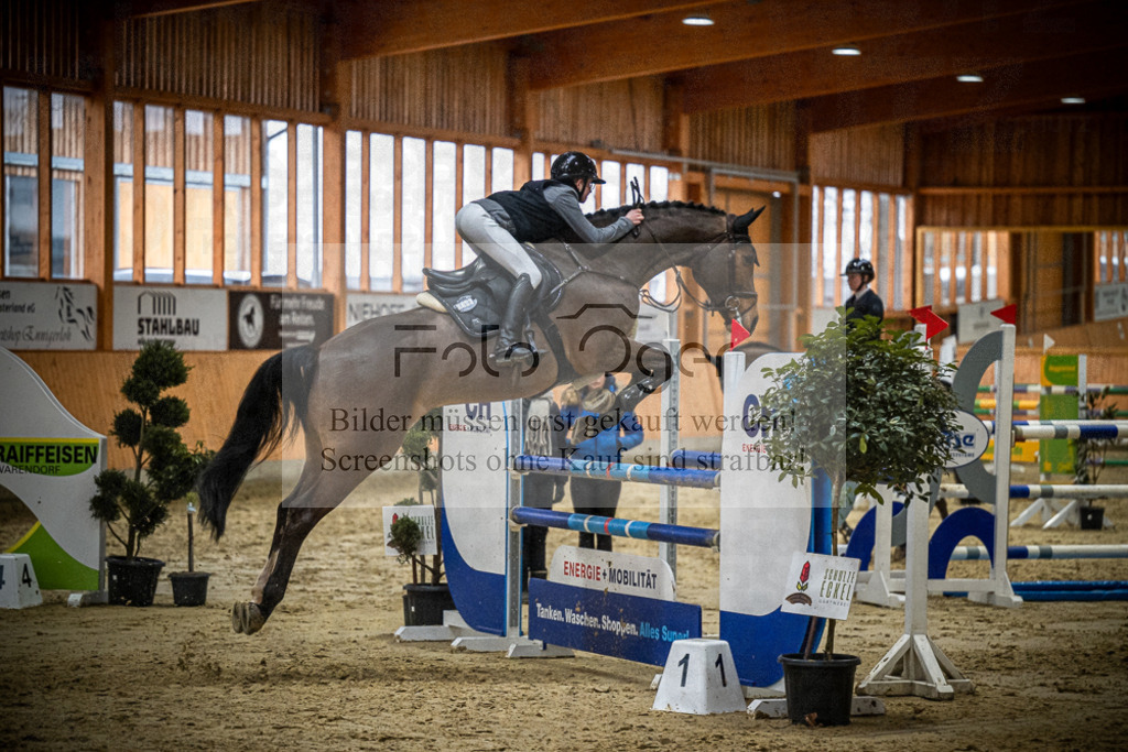 DOS_1239 | Entdecke hochwertige Reitturnierfotos von Foto Oger. Professionell, emotional und authentisch – jetzt Lieblingsmomente im Shop bestellen.Deutschlandweite Turnierfotografie. - Realisiert mit Pictrs.com