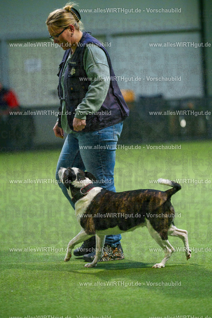 7R509855 | Professionelle Tierfotografie in Mönchengladbach von Daniel Wirth (allesWIRTHgut). Liebevolle & natürliche Bilder von Hunden & Katzen für unvergessliche Erinnerungen.