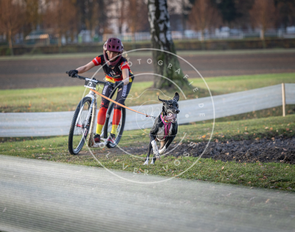 CaniXpix_DV3A9267 | Hundefotografie, Tierfotograf, Pfotenfotografie, Fotoshooting Hund, Hunde Portrait, Hundesport, Hundeportraits, Heideshooting, Hunde, Sportfotograf, Hundefotograf, Turnierhundsport, THS,  - Realisiert mit Pictrs.com