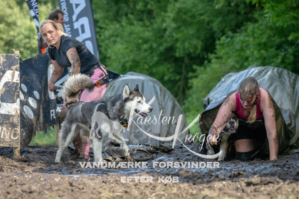 1558_ZZ92075 | kk-dogfotos