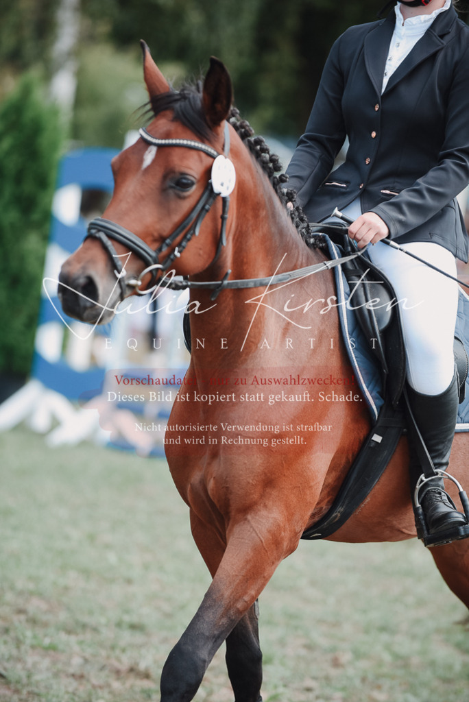 DSC_5818 | Pferde- und Turnierfotografie in Westsachsen. Pferdeportraits, Auftragszeichnungen und intuitive Kunst.