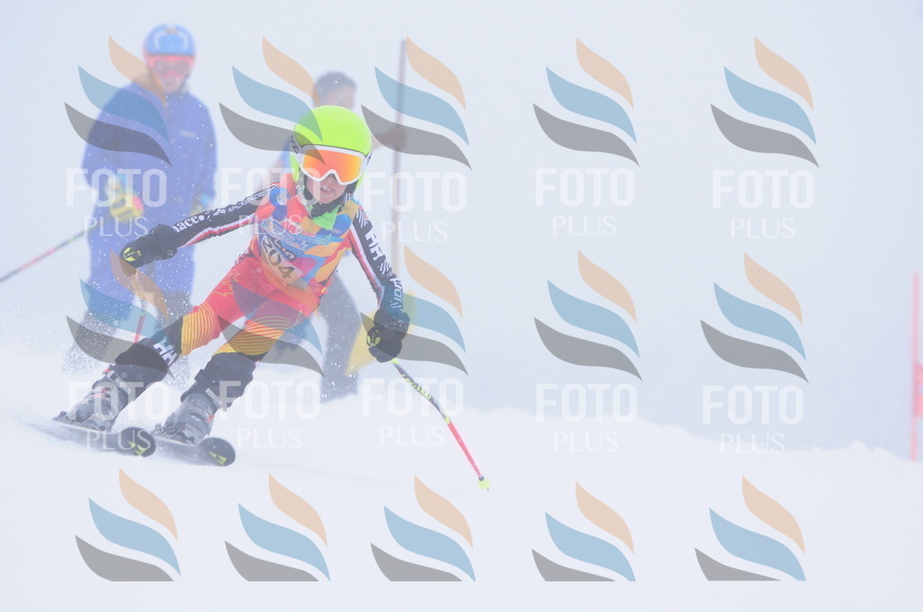 C2221 | holidayphoto