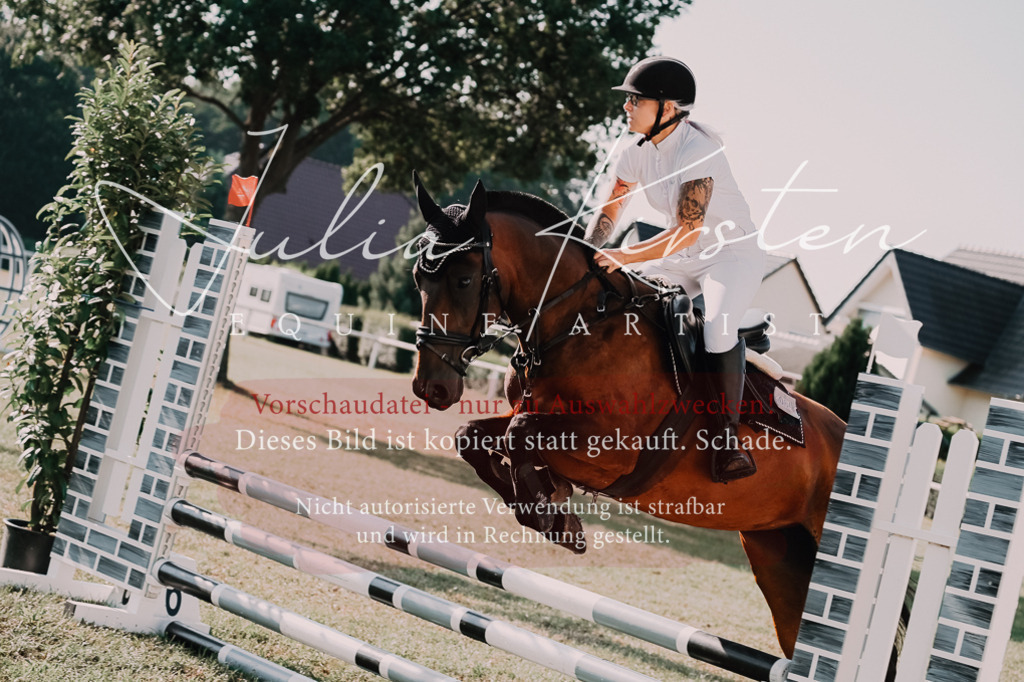 DSC_4620 | Pferde- und Turnierfotografie in Westsachsen. Pferdeportraits, Auftragszeichnungen und intuitive Kunst.