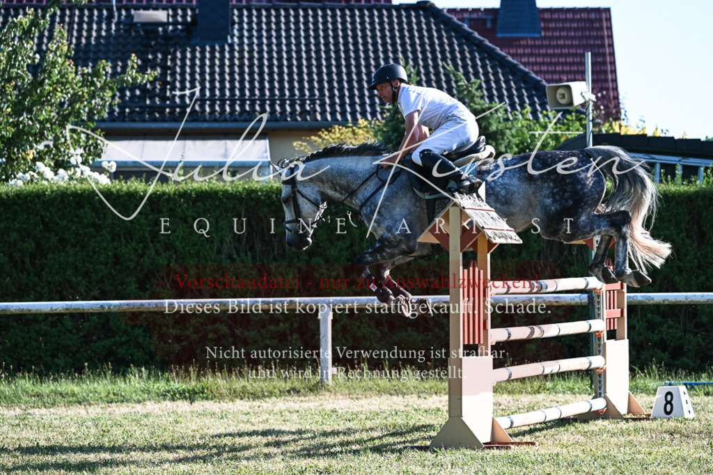 DSC_2657 | Pferde- und Turnierfotografie in Westsachsen. Pferdeportraits, Auftragszeichnungen und intuitive Kunst.