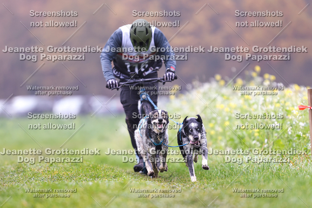 Dog Paparazzi - Visbeck 25 -68 | Dog Paparazzi Jeanette Grottendiek Fotografie & Videografie - Realisiert mit Pictrs.com