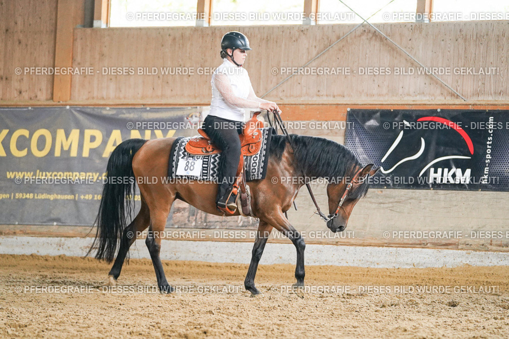 DSC05675 | Pferdegrafie