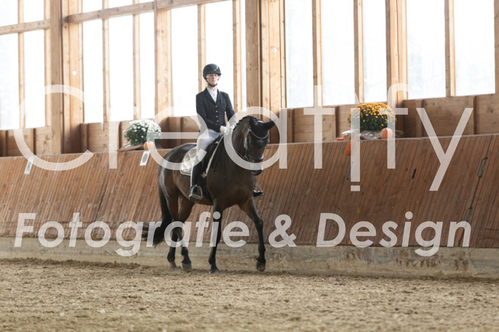 IMG_3348 | Creatify Fotografie