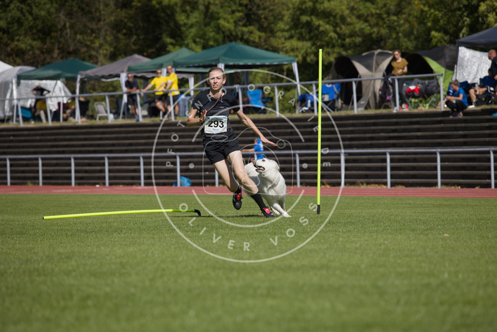 0L8A7041 | Hundefotografie, Tierfotograf, Pfotenfotografie, Fotoshooting Hund, Hunde Portrait, Hundesport, Hundeportraits, Heideshooting, Hunde, Sportfotograf, Hundefotograf, Turnierhundsport, THS,  - Realisiert mit Pictrs.com