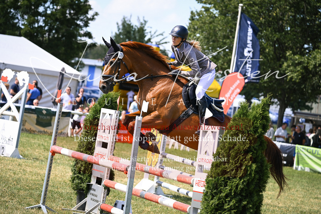 DSC_0226 | Pferde- und Turnierfotografie in Westsachsen. Pferdeportraits, Auftragszeichnungen und intuitive Kunst.