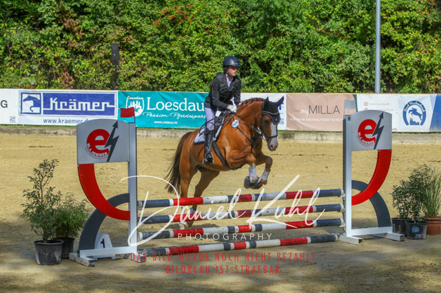 DKP42319 | Turniersportfotografie; Pferdefotografie; Dressurfotografie