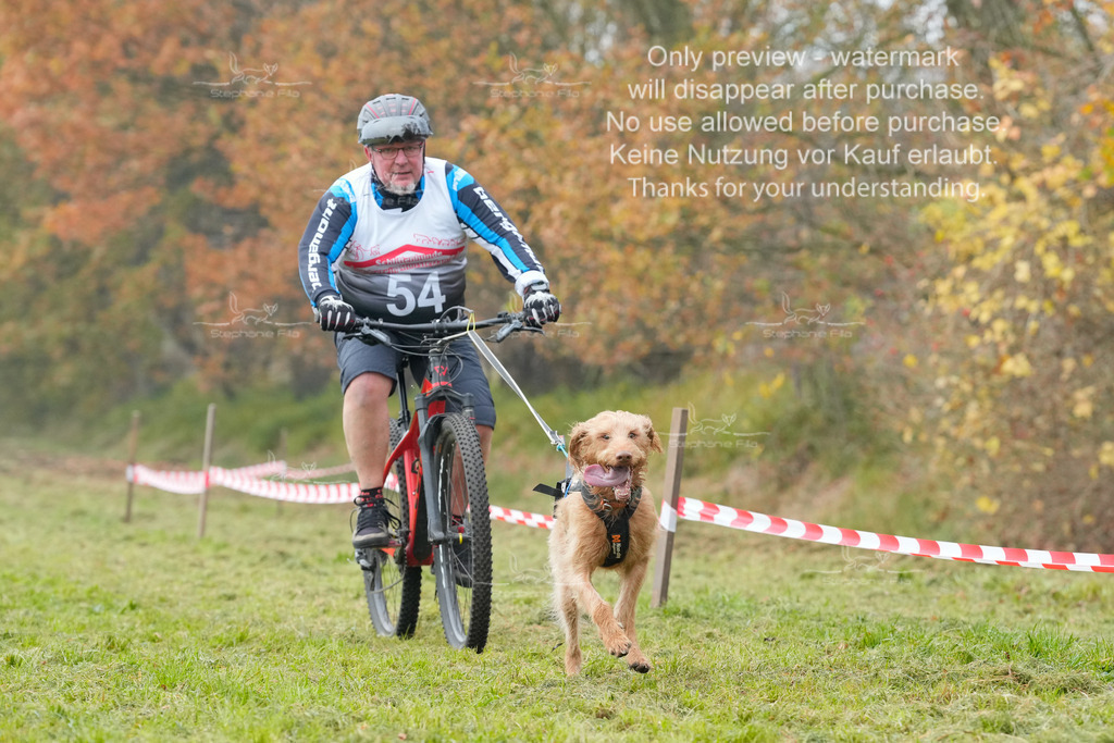 Visbeck_Sa_Bike-104 | stephaniefillaphotographie - Realisiert mit Pictrs.com