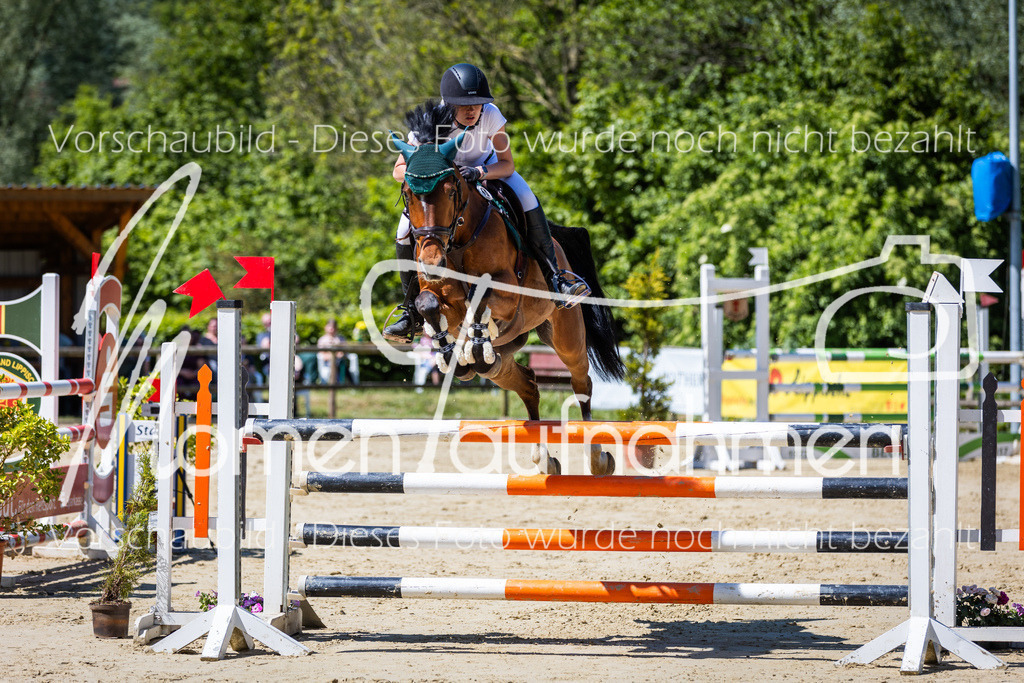 Donop24-L-Spr-012 | MomenTaufnahmen Pferdesportfotos