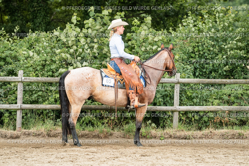 DSC04546 | Pferdegrafie