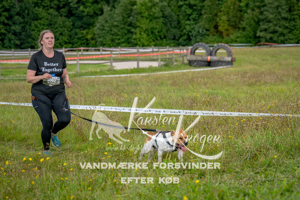 1348_ZZ90076 | kk-dogfotos
