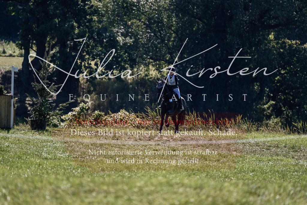 DSC_1594 | Pferde- und Turnierfotografie in Westsachsen. Pferdeportraits, Auftragszeichnungen und intuitive Kunst.