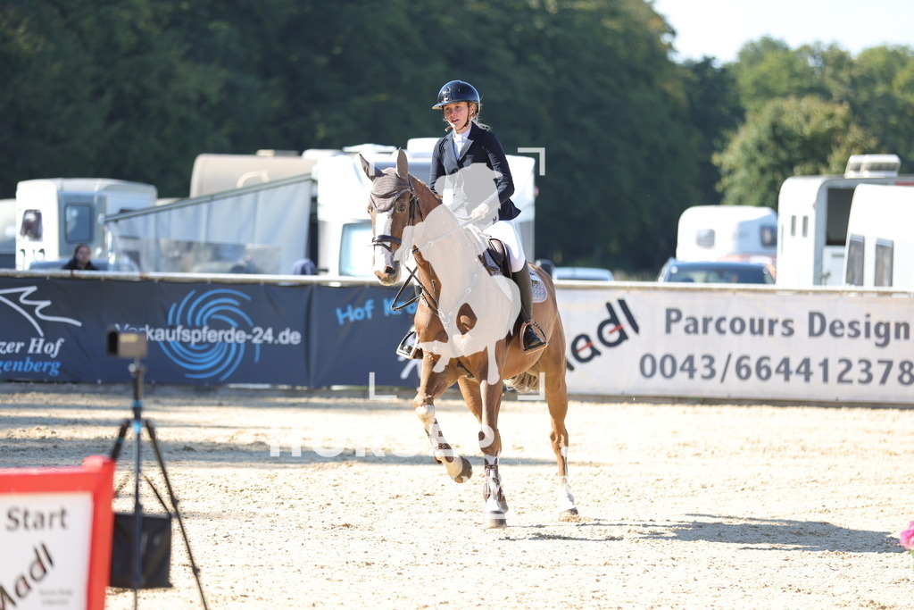 0P6A0336 | Willkommen bei Brunnmayr - Design & Fotografie – Ihrem Spezialisten für Reitturniere und Pferdeveranstaltungen in Oberösterreich, Salzburg und Bayern! Seit über 17 Jahren sind wir leidenschaftlich dabei.