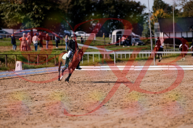 2026_10_03_Siefer-Hof_122250_Z81_22354376 | Professionelle Reitsport-, Turnier- und Eventfotografie von Robert Broda. Galerien mit ausgewählten und bearbeiteten Bildern direkt online ansehen und bestellen.