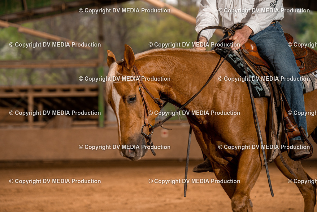 BA301273 | dv-media-shop - Realisiert mit Pictrs.com