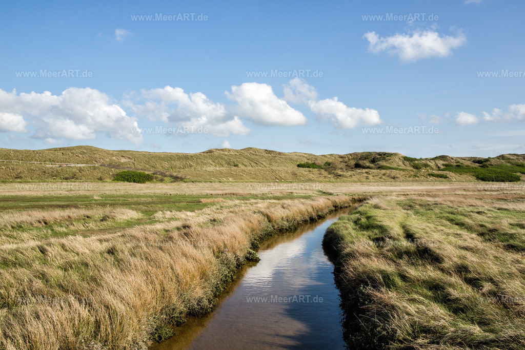 Texel | Impressionen von der sehenswerten und wunderschönen Insel Texel in Holland - Naturschutzgebiet De Slufter - Realisiert mit Pictrs.com
