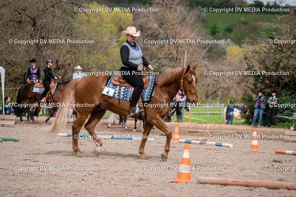 BAL02660 | dv-media-shop - Realisiert mit Pictrs.com