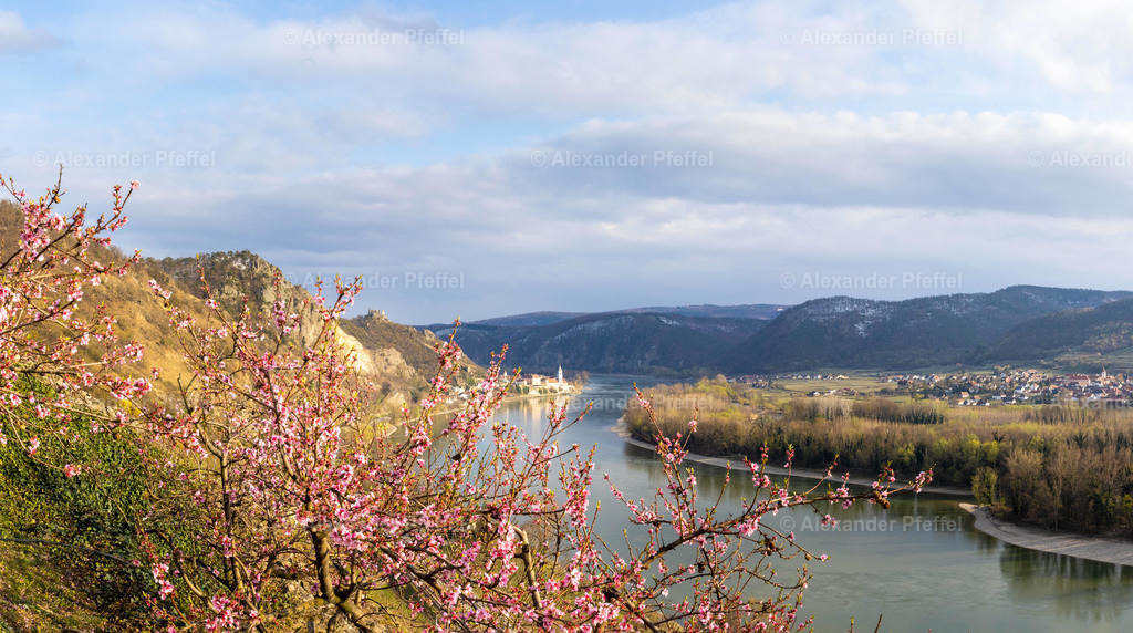 duernstein_c_alexander_pfeffel--2 | alexander-pfeffel - Realisiert mit Pictrs.com