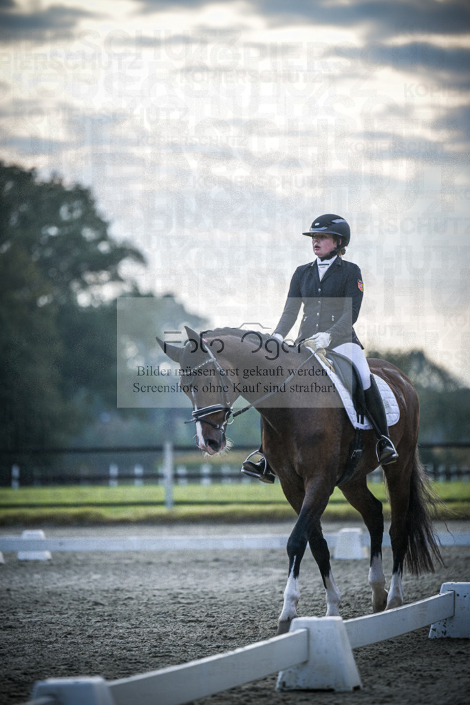 DOS_3779 | Entdecke hochwertige Reitturnierfotos von Foto Oger. Professionell, emotional und authentisch – jetzt Lieblingsmomente im Shop bestellen.Deutschlandweite Turnierfotografie. - Realisiert mit Pictrs.com
