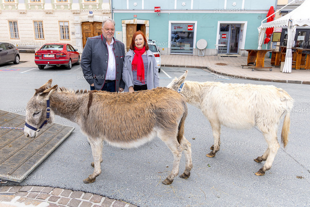 Palmbuschenweihe am Hauptplatz in Feldkirchen | Bildershop von pixelworld.at - Realisiert mit Pictrs.com