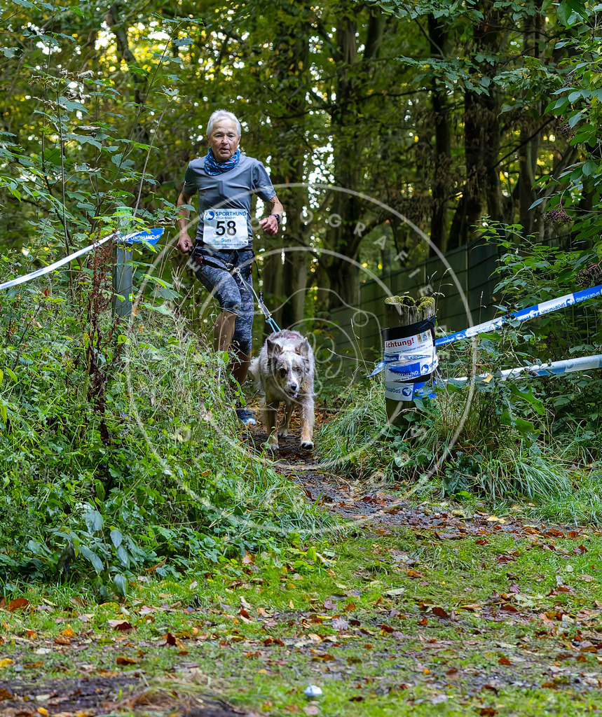 Pfotenfotografie_DV3A7135 | Hundefotografie, Tierfotograf, Pfotenfotografie, Fotoshooting Hund, Hunde Portrait, Hundesport, Hundeportraits, Heideshooting, Hunde, Sportfotograf, Hundefotograf, Turnierhundsport, THS,  - Realisiert mit Pictrs.com