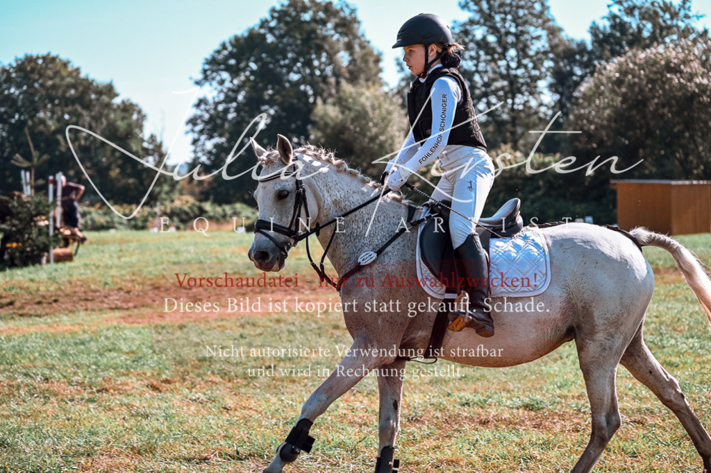 DSC_0644 | Pferde- und Turnierfotografie in Westsachsen. Pferdeportraits, Auftragszeichnungen und intuitive Kunst.
