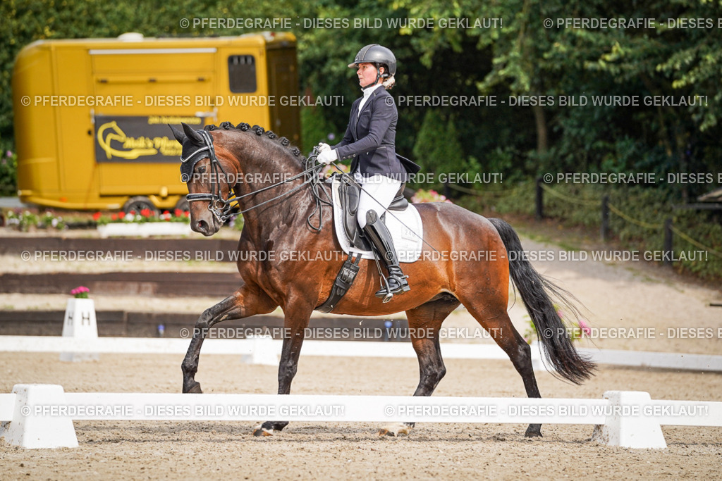 DSC06200 | Pferdegrafie