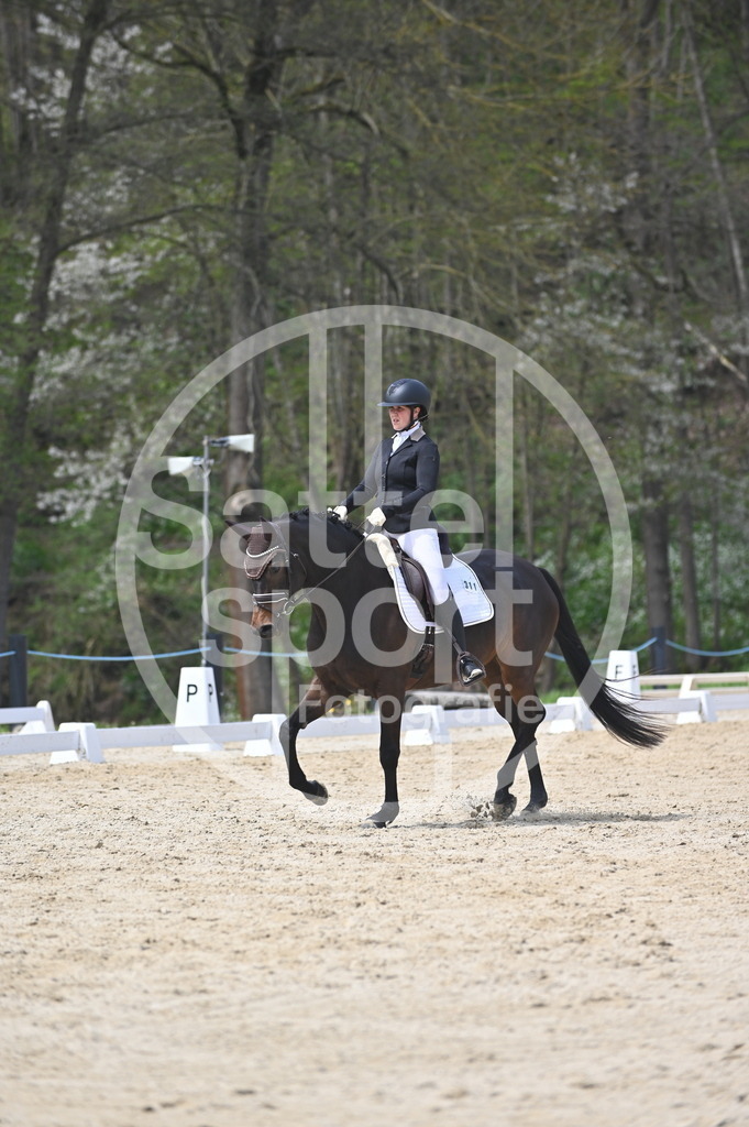 DSC_3104 | sattelsport - Realisiert mit Pictrs.com