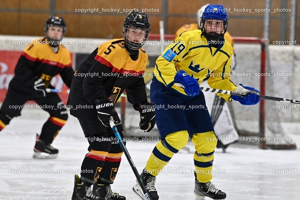 BST_4698 | hockey sports photos, Pressefotos, Sportfotos, hockey247, win 2day icehockeyleague, Handball Austria, Floorball Austria, ÖVV, Kärntner Eishockeyverband, KEHV, KFV, Kärntner Fussballverband, Österreichischer Volleyballverband, Alps Hockey League, ÖFB, 