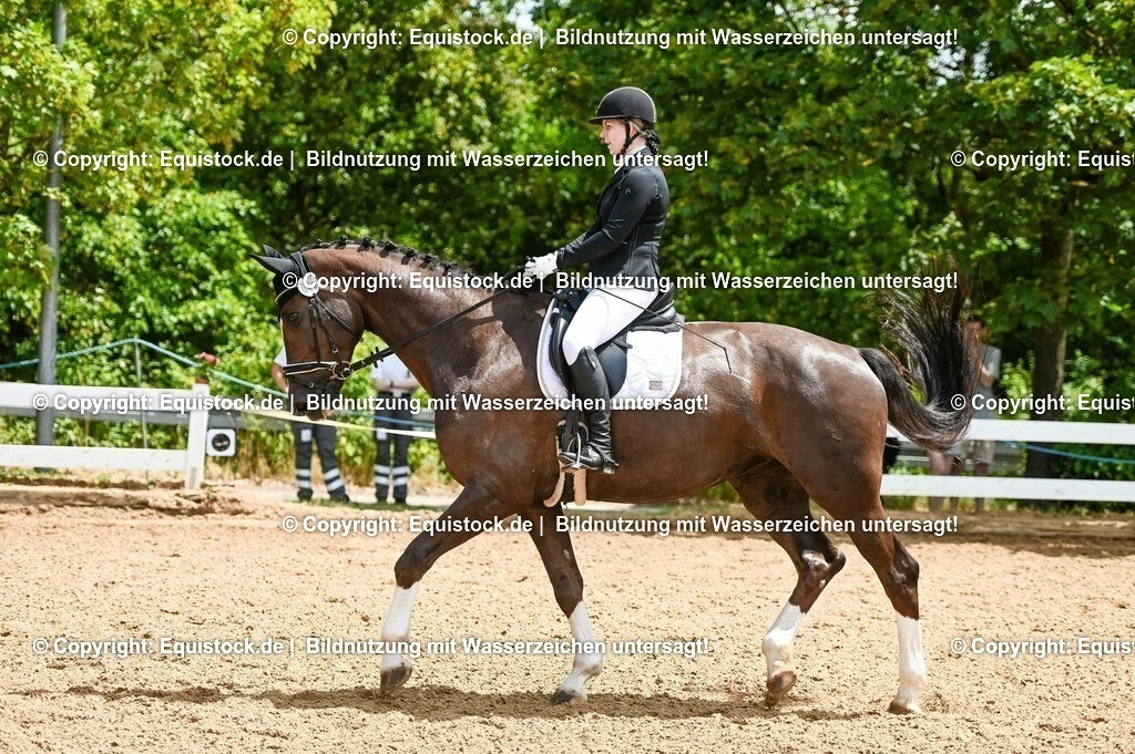 20230716_03_Dressurprfg. Kl.L - Tr._0167 | equistock