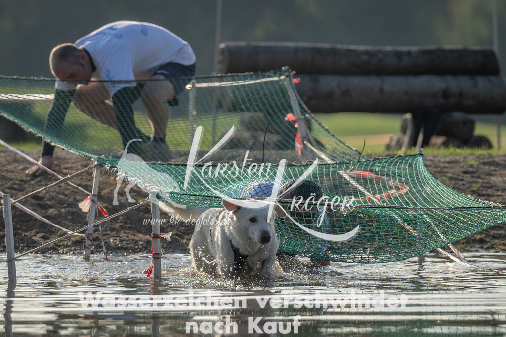 1621_ZZ93639 | kk-dogfotos