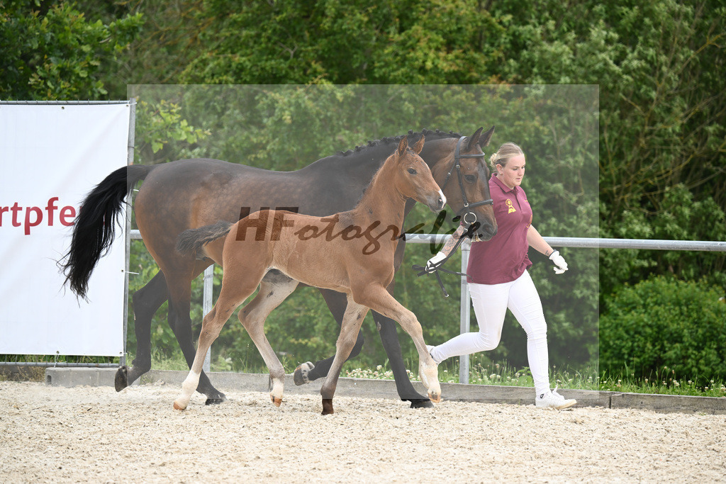 Conthalou x Catoki_HF_Lanzinner_20240849 | hf-fotografie - Realisiert mit Pictrs.com