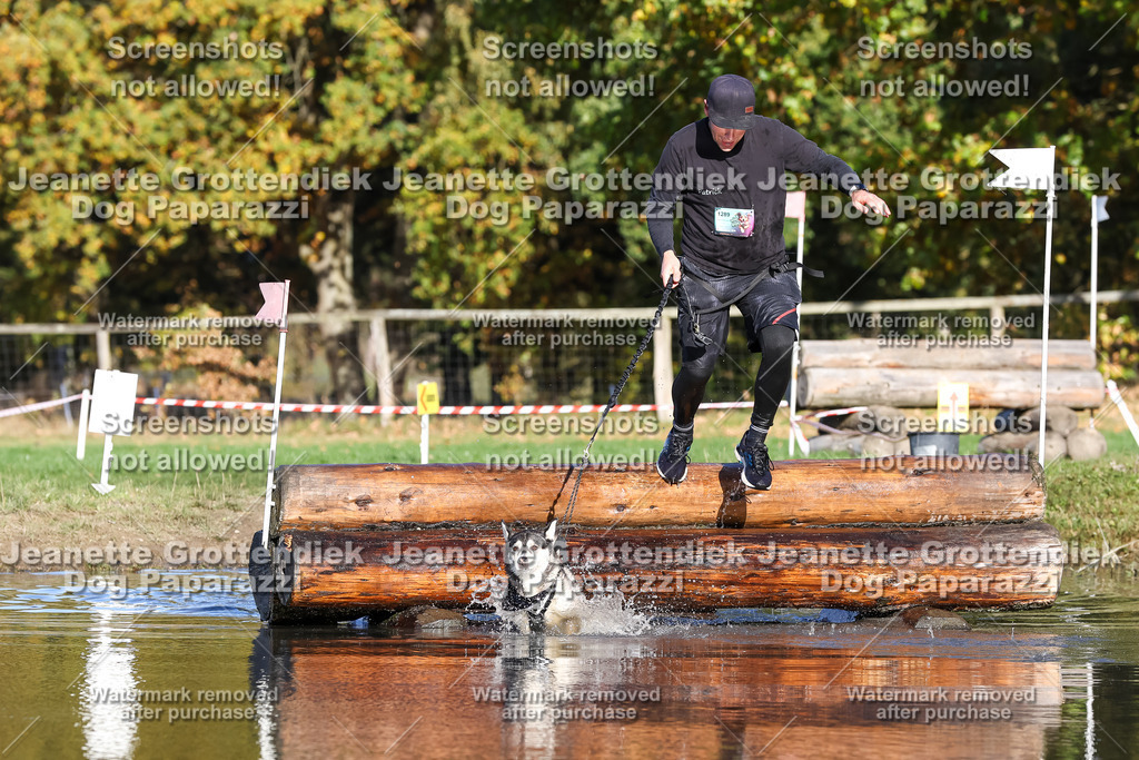 Dog Paparazzi - Strongdog 10-25-8683 | Dog Paparazzi Jeanette Grottendiek Fotografie & Videografie - Realisiert mit Pictrs.com