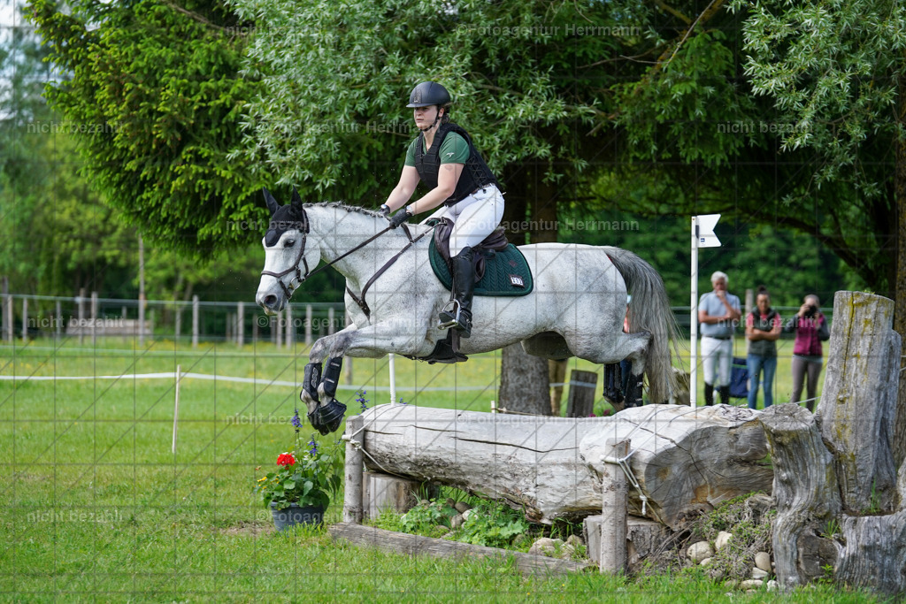 20240518-FAH03769 | Turnierbilder von Niederseon, Turnierfotografen Bayern, Fotoagentur Herrmann, Geländebilder, Reitsportfotografie