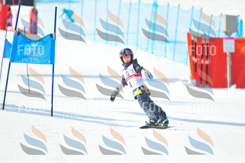 B8741 | holidayphoto